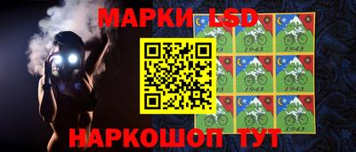 шишки Нальчик