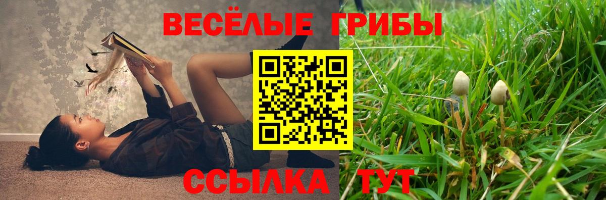 Галлюциногенные грибы Magic Shrooms  Вход с VPN  Галлюциногенные грибы Cubensis  Шебекино 